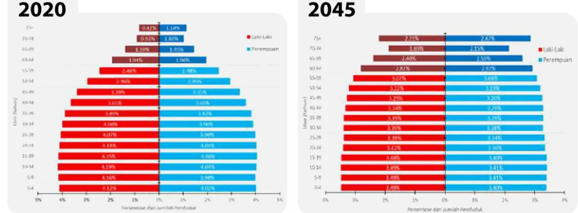 Grafik 2 proyeksi persentase penduduk Indonesia berdasarkan usia dan  jenis kelamin tahun 2020 dan 2045 