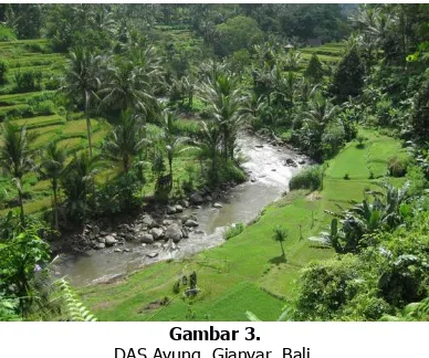 Gambar 3. DAS Ayung, Gianyar, Bali. 