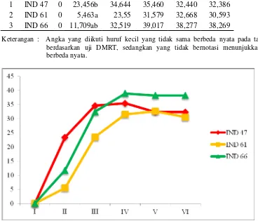 Gambar 5. Grafik Rata-rata Luas Serangan (A) Pengamatan I-Pengamatan VI 