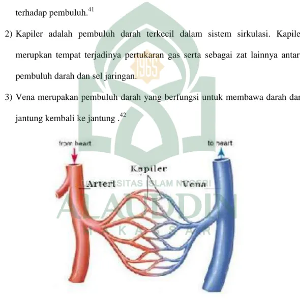 Gambar 2.3 Pembuluh Darah                                                             