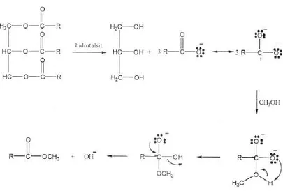 Gambar 7. Mekanisme reaksi transesterifikasi dengan katalis basa hidrotalsit. 