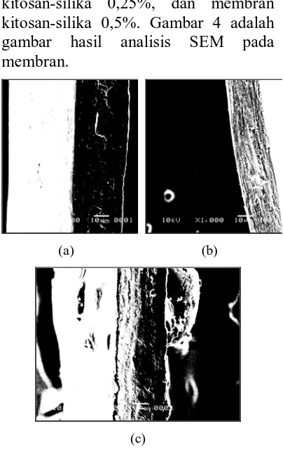 Gambar 4 Penampang Melintang Membran (a) kitosan; (b) kitosan-silika 0,25%;(c) kitosan-silika 0,5%  