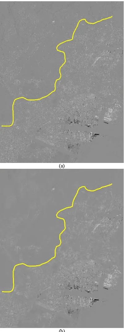 Figure 6. (a) The (stretched) difference image of the pre- and post-event TSX images. The yellow line indicates the boundary between the flood-free and flood-influenced areas