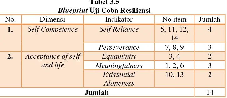 Tabel 3.5 Blueprint Uji Coba Resiliensi 