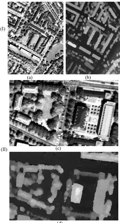 Figure 4. Test dataset of areas I and II. (a) and (c) orthorectified (d) 