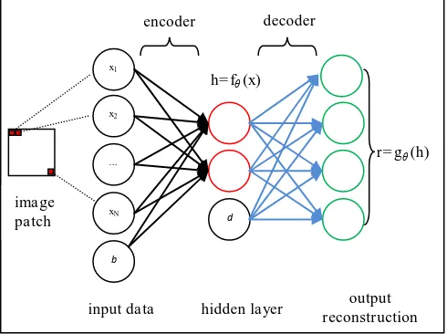 Figure 1. The Autoencoder's architecture. Input, hidden and output units are indicated by black, red and green circles, respectively