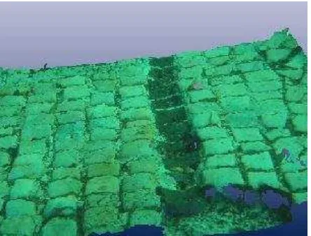Figure 5. Underwater laser Scanner digital model of a part of a mosaic floor. 