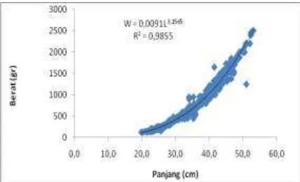Tabel 1 Distribusi frekuensi panjang tubuh total, ukuran kelas, tengah kelas dan persentase ikan cakalang