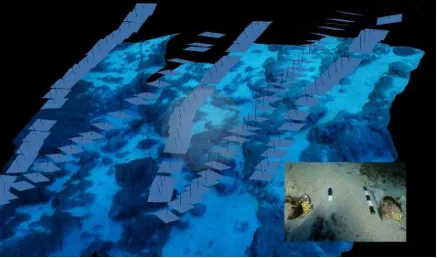 Figure 8: 3D textured model and detail of the 2012 excavation trench of Shipwreck N.24, © H.I.M.A., E