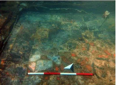 Fig. 1. Baiae. A particular of the opus sectile floor after restoration (ISCR Archive)