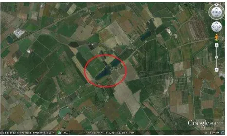 Figure 1. Google Earth satellite imagine: Tramonto Lake, 