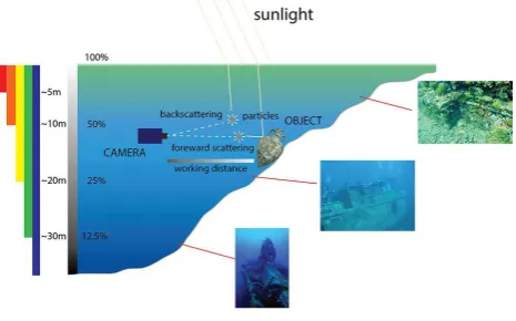 Figure 1: Schematic representation of underwater lightingconditions that can cause color alterations.