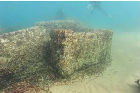 Figure 4.  Cape Granitola shipwreck. Detail of a podium. (photo: D. Della Libera) 