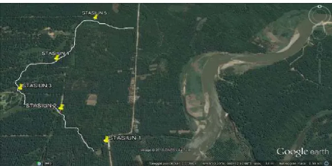 Gambar 1. Lokasi pelaksanaan penelitian di sungai Sangkir anak sungai Rokan Kiri (Google Earth,  2016)