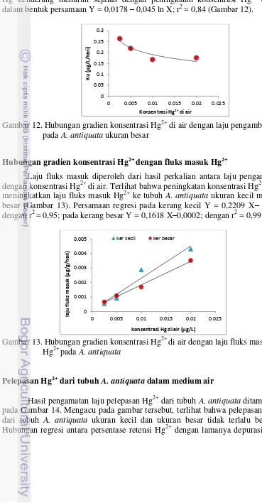 Gambar 12. Hubungan gradien konsentrasi Hg2+ di air dengan laju pengambilan  