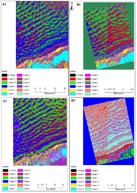 Figure 7: Supervised Classification Images: Landsat: Maximum Likelihood (A1); Minimum Distance (A2) and Worldview: 