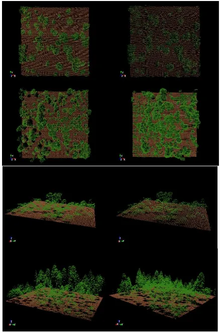 Figure 2: Selected LiDAR point clouds from the NEON 