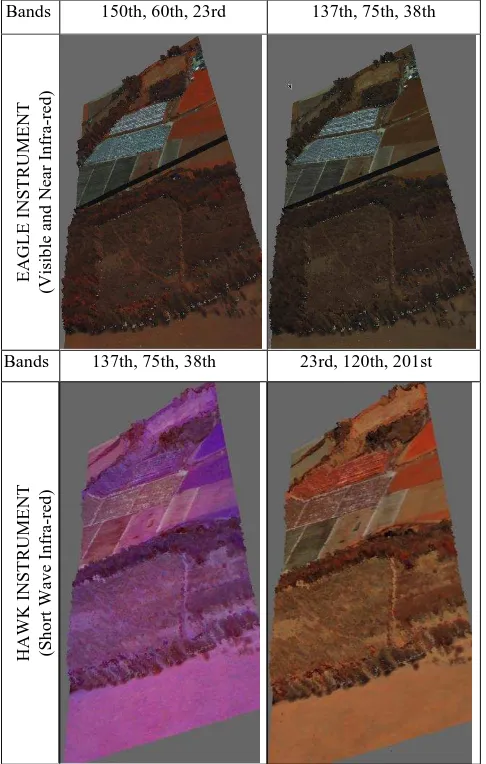 Figure 4. Visualisation results before and after projecting hyperspectral images on the polygon representation 