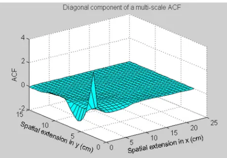 Figure 2. Diagonal component of a MLS two-dimensional ACF for ννννx=2.1;ννννy=1.1, γγγγx=0.2cm and γγγγy=0.8cm 