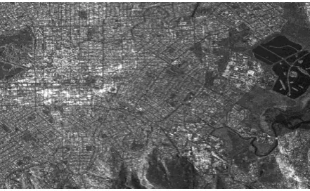 Figure 1. Average amplitude image of Christchurch before the earthquake of 22 February 2011 