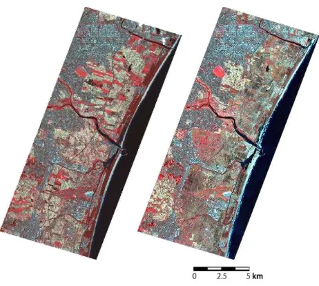 Figure 4(b). Results of land cover classification of SPOT/HRG-2 