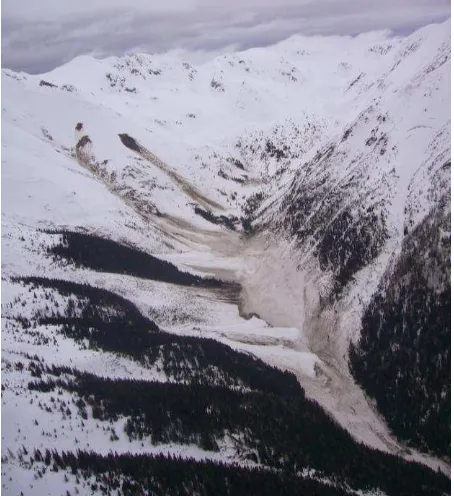 Figure 2: Avalanches in the area of the Belianske Tatry, photograph taken on April 1, 2009