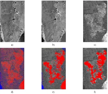 Figure 4: Study area of La Palma, Spain. Subsets of TerraSAR-X amplitude data (© DLR 2013) of a) 13/12/2007 and b) 09/08/2009,  and the graph-cut algorithm, f) classification by Bernhard et al