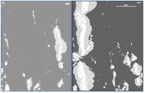 Figure 1. The overlay/shadow maps of the project area showing the areas affected by different distortion effects in ascending (left) and descending (right)