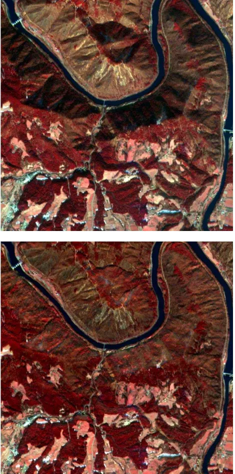 Figure 12. Comparison between false-colour composite image before (above) and after (below) the automatic topographic corrections (detail)