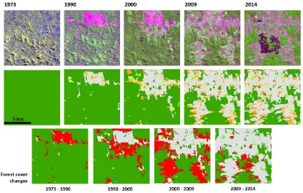 Figure 2. Forest cover change analysis for the AOD (example: sample unit South 10°, West 58° in Northern Mato Grosso State); 