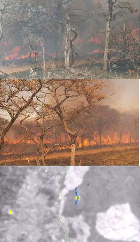 Figure 11 Shabeni plot string in blue (origin from Govender, 2014)channel, National Park boundary in green, plot outlines of (FRP of fire detections in yellow, background: mid wave -IR shortly after TET-1 overpass, Lower: TET-1 satellite image upper: photo