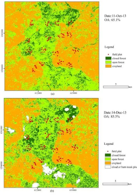 Figure 5. Land cover classifications based on (a) 11-Oct-13 image and (b) 14-Dec-13 image