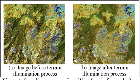 Figure 4. Sample image area from West Java before and after the terrain illumination correction