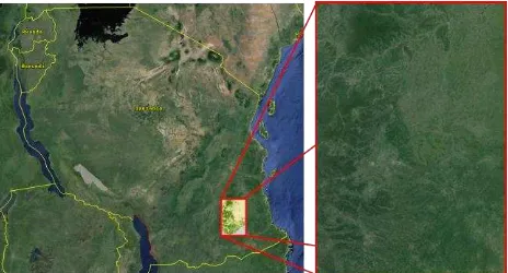 Fig. 1 shows the location of the Liwale study site in Tanzania. 