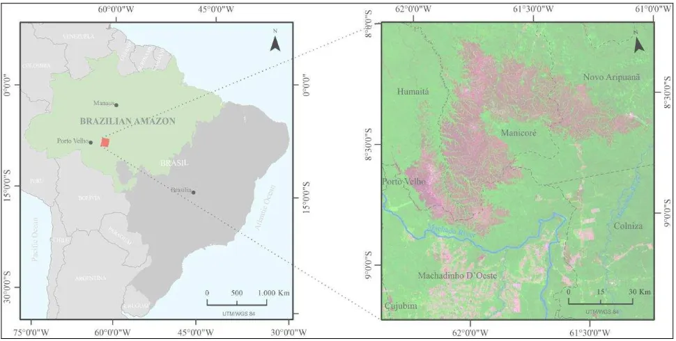 Figure 1. Study site location (red polygon) in the south of Brazilian Amazon (green polygon in the left map)