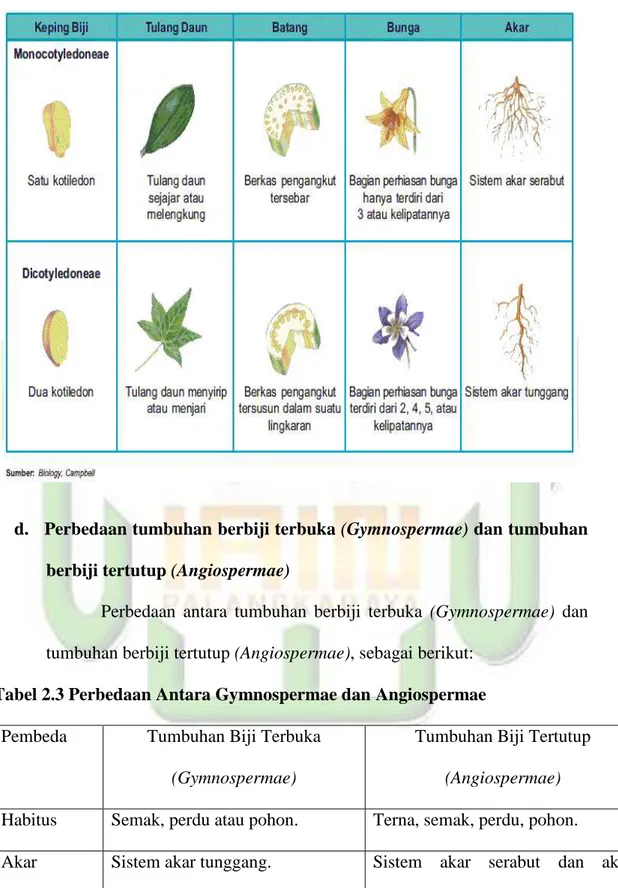 Tabel 2.3 Perbedaan Antara Gymnospermae dan Angiospermae 