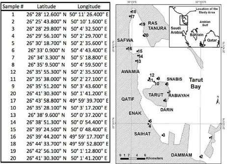 Figure 2: Total area of the mangroves (km2) in Tarut Bay during 9 years in the period 1972 to 2011, as estimated by three studies: S1: Qasem et al