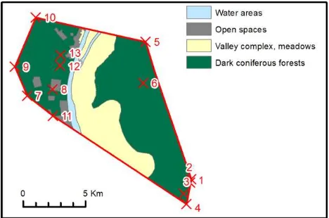 Figure 1. Distribution of the vegetation types on the ground test 