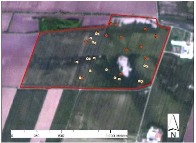 Figure 1. Test site with the sampling locations measured on 8th of May (dark) and 22nd of June 2011 (bright)