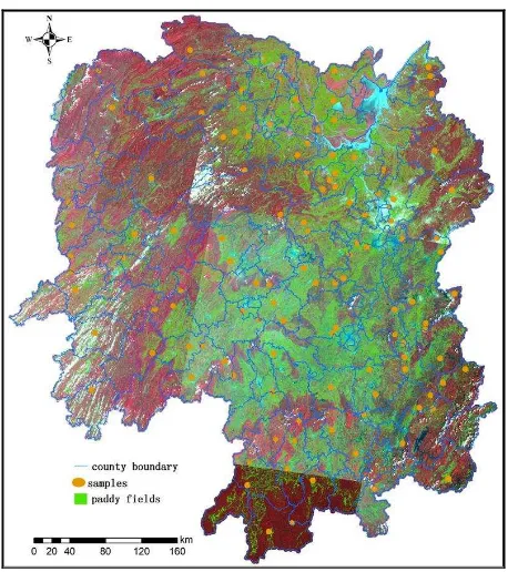 Figure 1. The distribution of HJ images, paddy fields and ground survey data in Hunan Province 