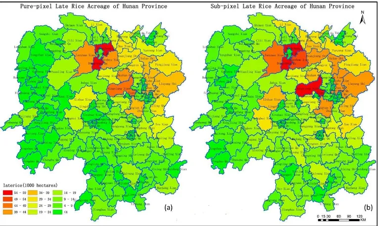 Figure 4. Pure-pixel, sub-pixel comparisons of late-season rice distribution 