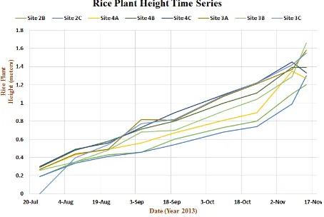 Figure 6: Rice Plant Time Series