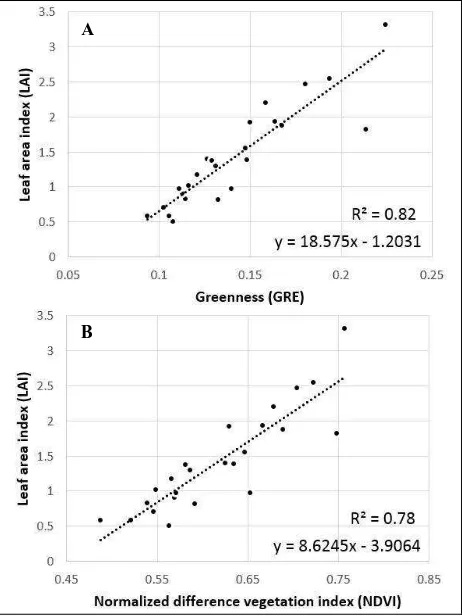 Figure 2. Linear regression of GRE (A) and NDVI (B) to LAI measurements at sample site G1.1