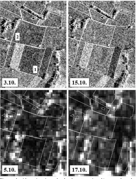 Table 2. Grey value comparison for the two grassland plot samples (see Figure 1); given are in-situ detected cutting date, grey value mean and differences extracted from CosmoSkyMed images of 3rd and 15th October 2014 as well as from Sentinel-1A data of 5th and 17th October; negative value in grey value and sigma0 (for Sentinel-1A) difference indicates grassland cuts 