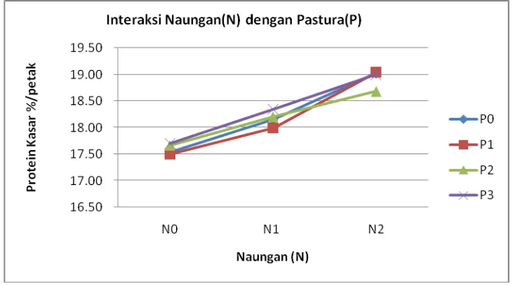 Gambar 4. Grafik rataan protein kasar pada pengaruh interaksi naungan dan pastura 