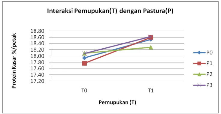 Gambar 5. Grafik rataan protein kasar pada pengaruh interaksi pemupukan dan pastura. 