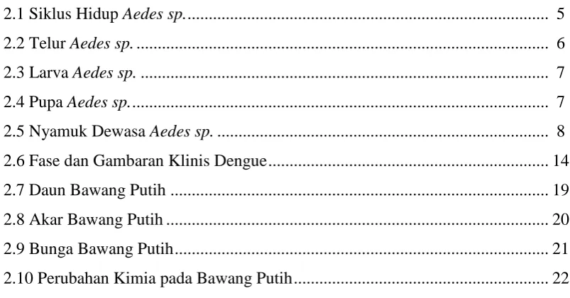 Gambar   Halaman 