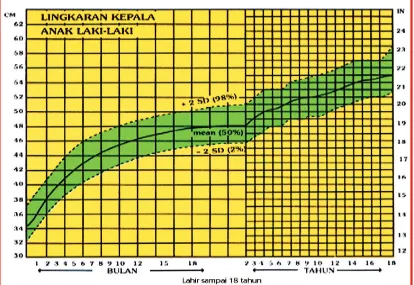 GRAFIK LINGKAR KEPALA ANAK LAKI-LAKI 