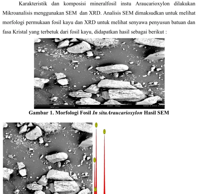 Karakteristik Geokimia Komposisi Mineral Fosil Kayu Isolasi Dan