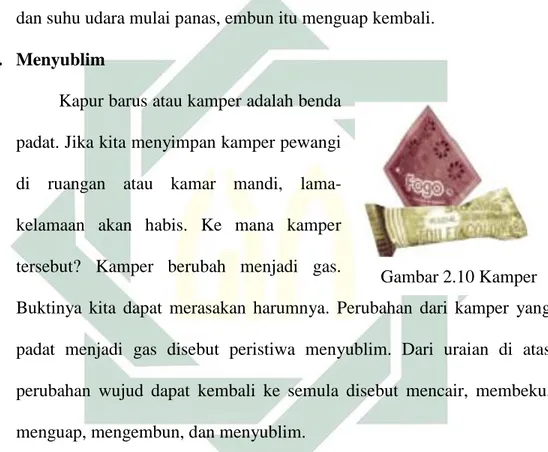 Gambar 2.10 Kamper 